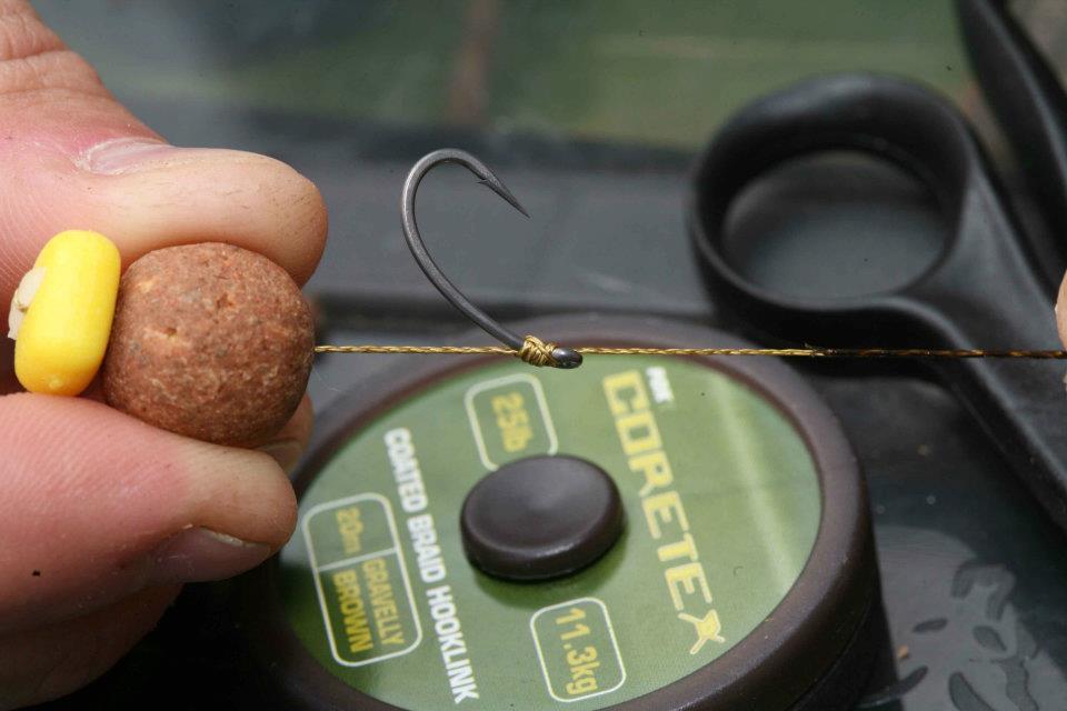 FOX - 432281304386979618890867399943n.jpg